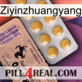 Ziyinzhuangyang 41